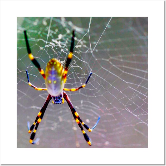 Orb Weaver Spider Wall Art by Mickangelhere1